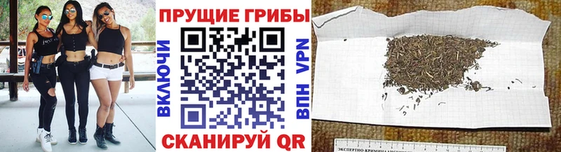 Галлюциногенные грибы ЛСД  даркнет формула  Белгород  где найти  