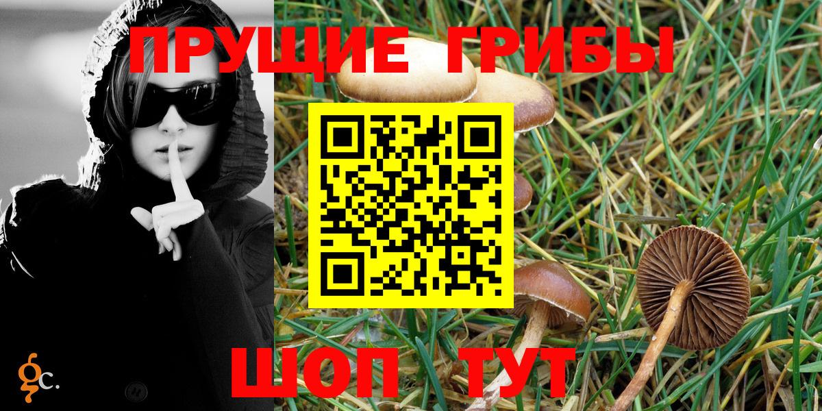 Белгород  Псилоцибиновые грибы MAGIC MUSHROOMS  Галлюциногенные грибы GOLDEN TEACHER  Вход с VPN 