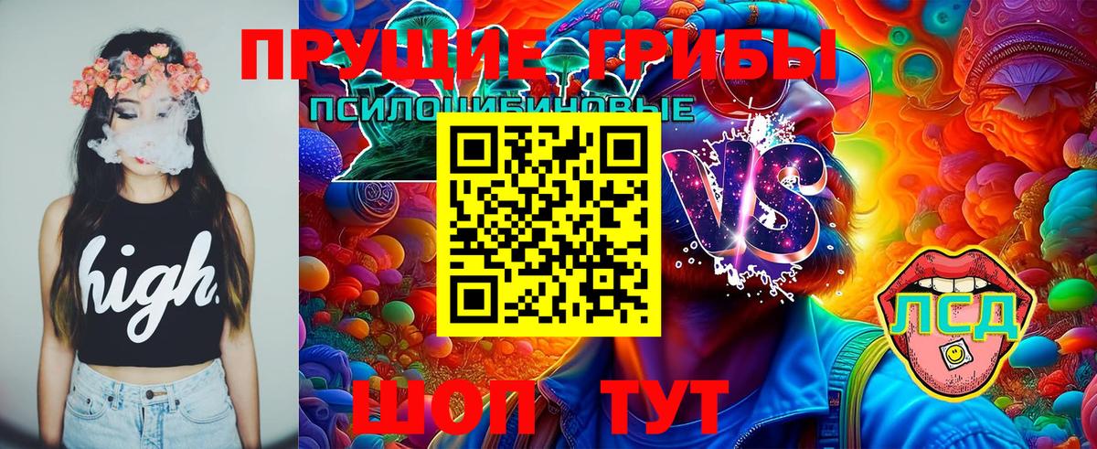 Галлюциногенные грибы ЛСД  Псилоцибиновые грибы Psilocybe  Белгород 